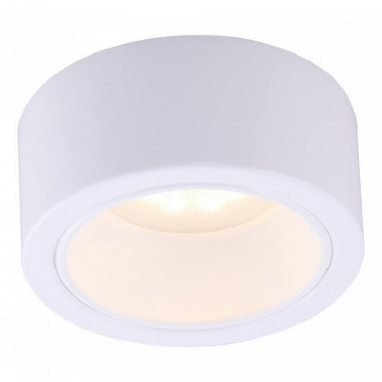 ARTE lamp  A5553PL-1WH