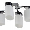 Потолочный светильник Freya FR5101-CL-04-CN