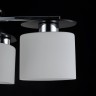 Потолочный светильник Freya FR5101-CL-04-CN