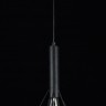 Подвесной светильник Maytoni T021-01-B