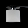 Потолочный светильник Freya FR5101-CL-03-CN