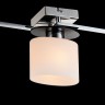Потолочный светильник Freya FR5101-CL-03-CN