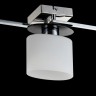 Потолочный светильник Freya FR5101-CL-03-CN