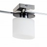 Потолочный светильник Freya FR5101-CL-03-CN