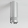потолочный светильник Favourite 2454-1C