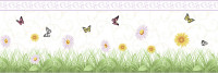Aura Forever Young H2915402; 0,17x5,00 м.