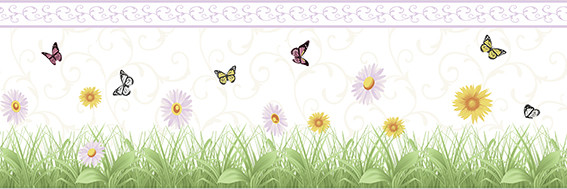Aura Forever Young H2915402; 0,17x5,00 м.