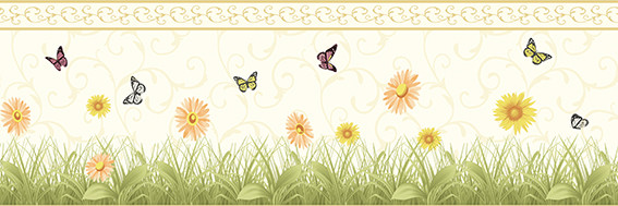 Aura Forever Young H2915403; 0,17x5,00 м.