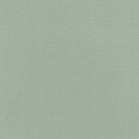 Обои RASCH Amazing 537901