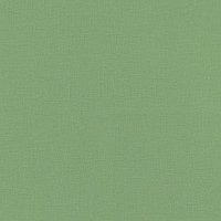 Обои RASCH Amazing 537918