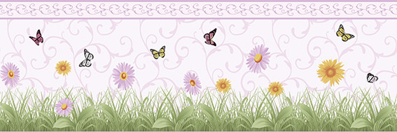 Aura Forever Young H2915404; 0,17x5,00 м.