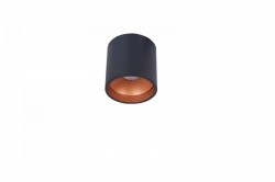 Накладной светильник Donolux DL18416/11WW-R Black/Gold