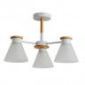 Люстра Arte Lamp TYLER