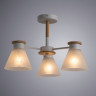 Люстра Arte Lamp TYLER