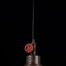 Подвесной светильник Maytoni T020-01-R