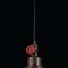 Подвесной светильник Maytoni T020-01-R