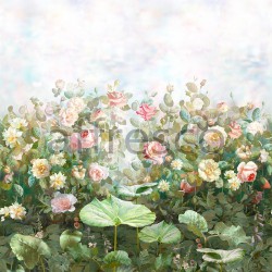 Обои и панно, Каталог Цветариум, арт. Rose garden Color 1