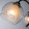 Люстра Arte Lamp DOLCEMENTE