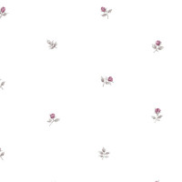 Aura Rose Garden RG35720; 0,53х10,05 м.