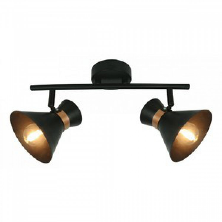 ARTE lamp A1406AP-2BK