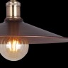 Подвесной светильник Maytoni T028-01-R