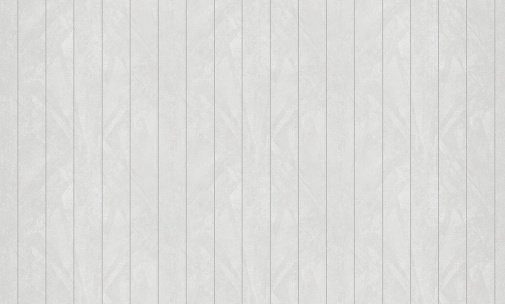 Обои Bruno Zoff Silver 60113-4