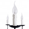 Люстра Arte Lamp GRAFF