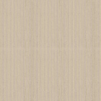 Aura Plain Resource vol.2 B1180502; 0,53x10,05 м.