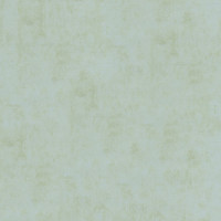 Aura Plain Resource vol.1 B1181106; 0,53x10,05 м.