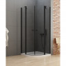 Душевое ограждение NEW TRENDY NEW SOLEO BLACK  100x100x195 K-0540 (черный)