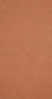 Обои BN International Indian Summer 218545