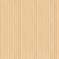 Aura Plain Resource vol.2 B1180505; 0,53x10,05 м.