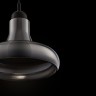 Подвесной светильник Maytoni P016PL-01B