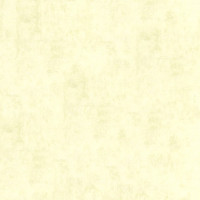 Aura Plain Resource vol.1 B1181102; 0,53x10,05 м.