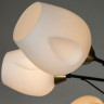 Люстра Arte Lamp BRIGHTON