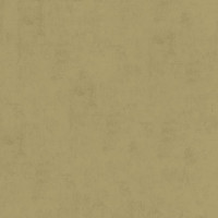 Aura Plain Resource vol.1 B1181105; 0,53x10,05 м.