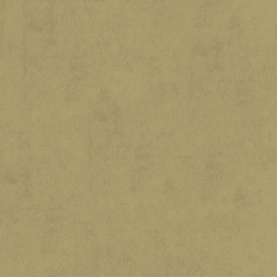 Aura Plain Resource vol.1 B1181105; 0,53x10,05 м.