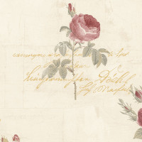 Aura Rose Garden CG28860; 0,53х10,05 м.