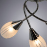 Люстра Arte Lamp PENNY