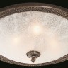 Потолочный светильник Maytoni C906-CL-04-R