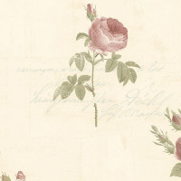 Aura Rose Garden CG28861; 0,53х10,05 м.