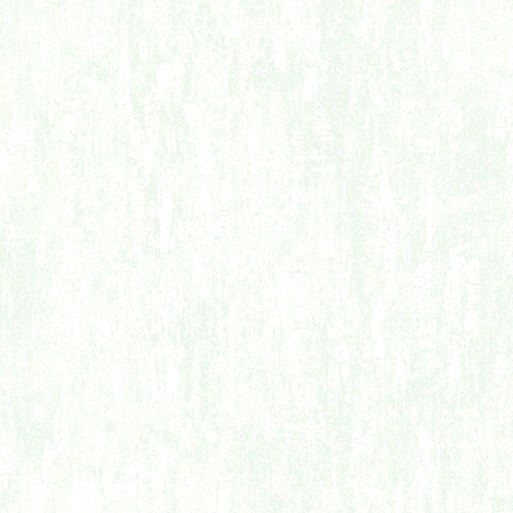 Aura Plain Resource vol.1 H2880306; 0,53x10,05 м.