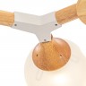 Потолочный светильник Freya FR5105CL-08W