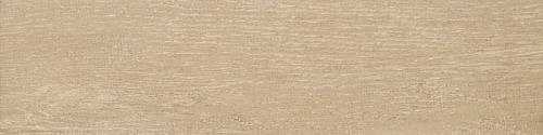 TS02