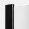 Душевое ограждение NEW TRENDY NEW SOLEO BLACK 100x80x195 D-0232A/D-0114B (черный)