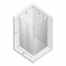 Душевое ограждение NEW TRENDY NEW SOLEO 100x100x195 D-0146A/D-0093B (хром)