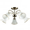 Люстра Arte Lamp BLOSSOM