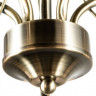 Люстра Arte Lamp BLOSSOM