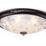 Потолочный светильник Maytoni C907-CL-06-R
