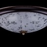 Потолочный светильник Maytoni C907-CL-06-R